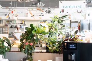 Alconi Restaurant &ndash; Cantine