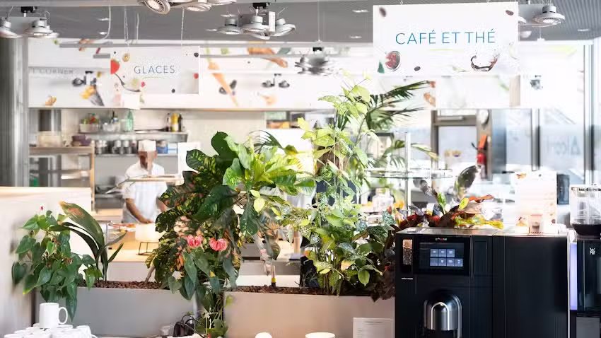 Alconi Restaurant &ndash; Cantine