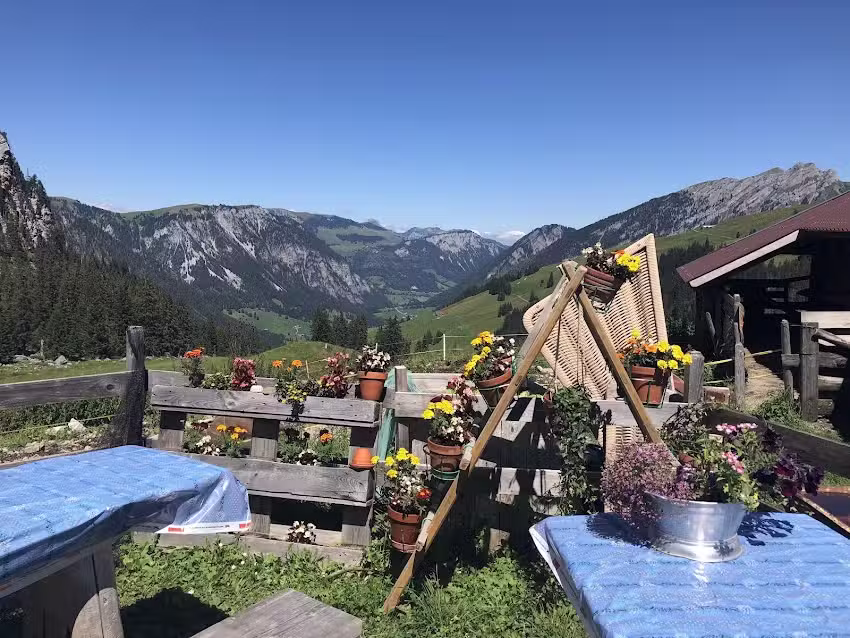 Alp Grimmi