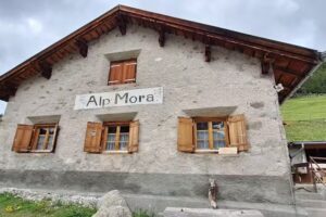 Alp Mora