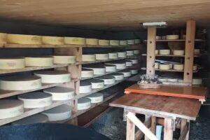 Alp Ritz Lenk mit Alp-Beizli