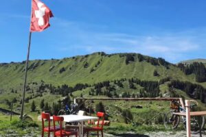 Alph&uuml;tte B&uuml;tschi