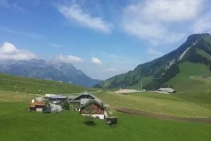 Alpk&auml;serei Chieneren