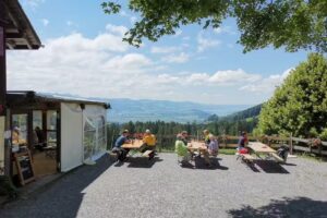 Alpwirtschaft Cholwald