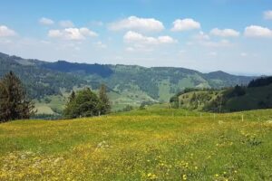 Alpwirtschaft Schw&auml;mmli