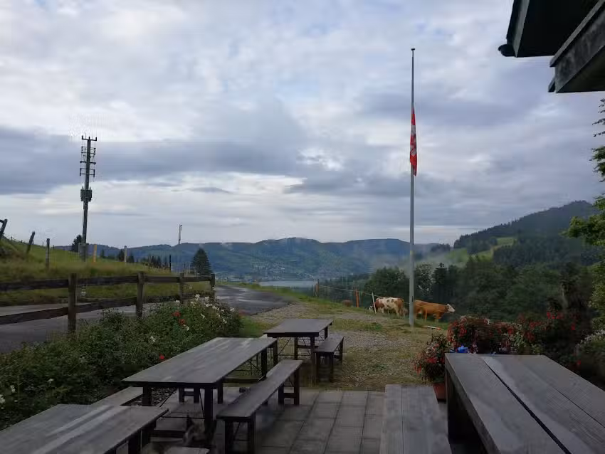 Alpwirtschaft Sonnegg