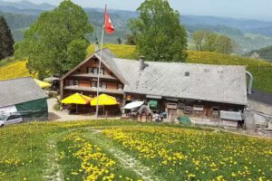 Alpwirtschaft Wimpfel