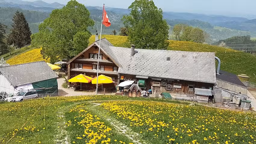 Alpwirtschaft Wimpfel