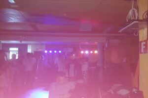 Bar Chez Nando, Duarte Guerreiro & Cie