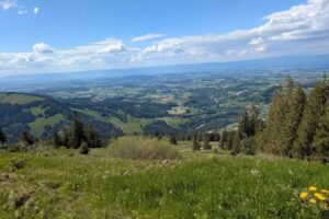 Baretta &ndash; Alp und Buvette