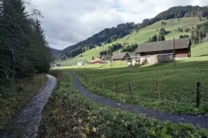 B&auml;s&auml; Beizli