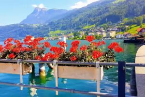 Biergarten am See, Lussi Tavola AG