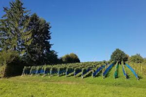 Burest&uuml;bli Sonnenhof