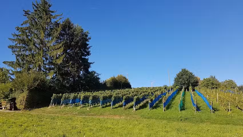 Burest&uuml;bli Sonnenhof