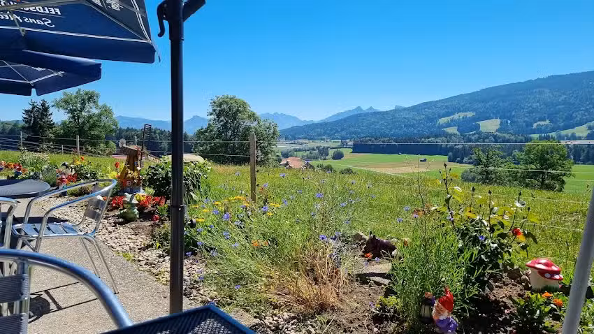 Buvette des Obasseires