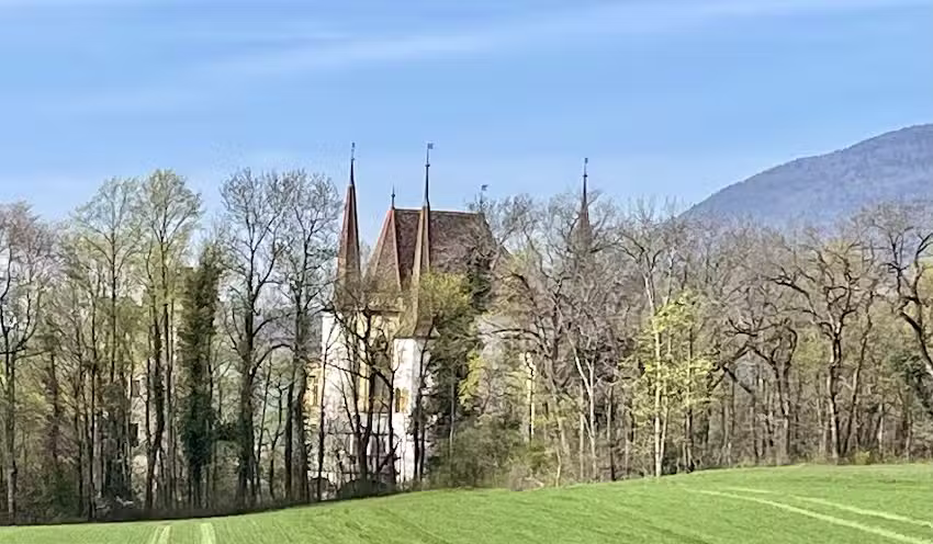 Buvette Terrain de Foot Beroche Gorgier
