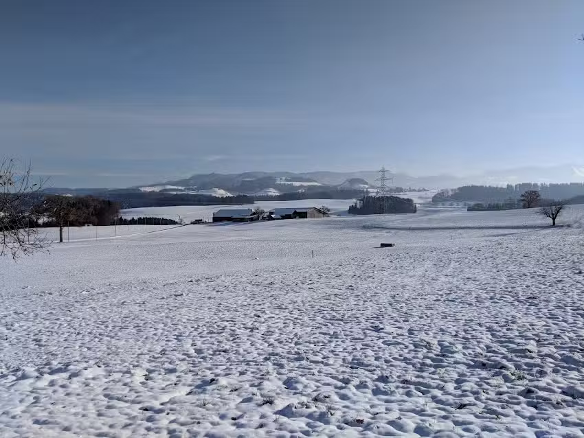 Caesars Peak Pensionsstall / Domaine &eacute;questre