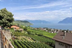 Caf&eacute; de la Place