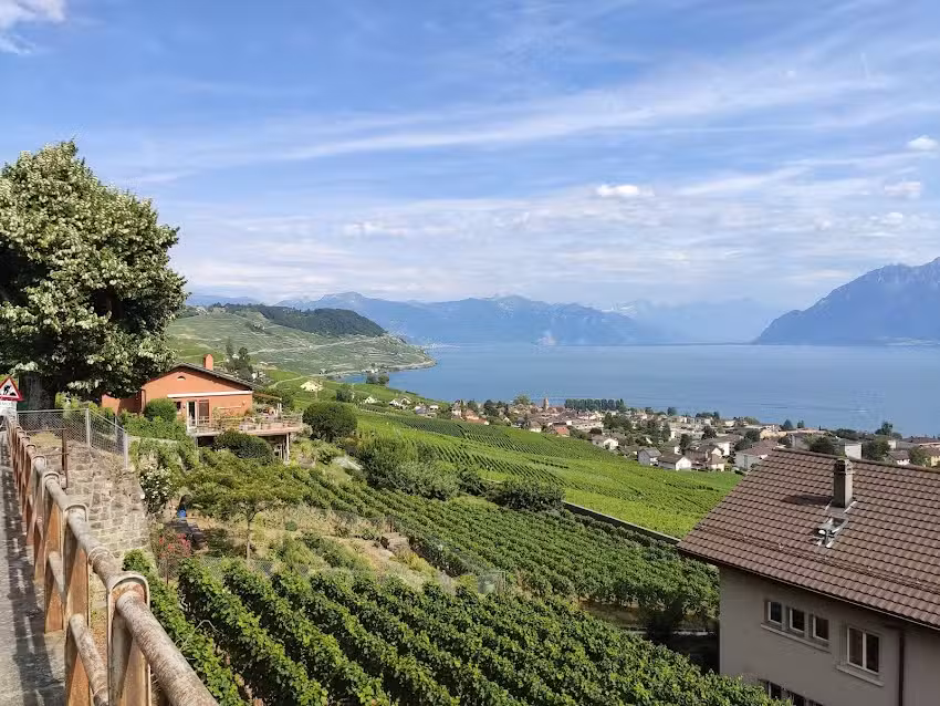 Caf&eacute; de la Place