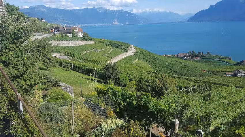 Caf&eacute; de la Poste &ndash; Chexbres