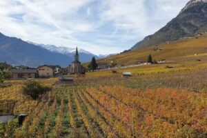 Café l’Union Leytron