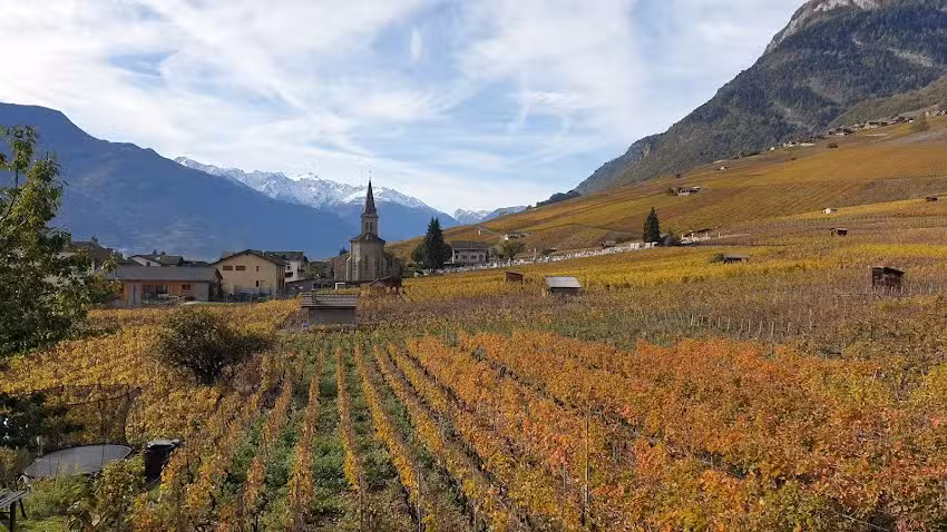 Caf&eacute; l&rsquo;Union Leytron