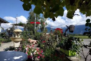 Camping et Restaurant des belles Truches, Vidal