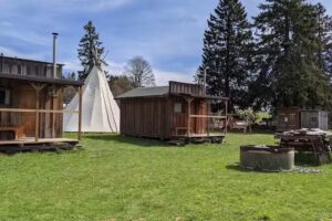 Christian Lecomte, Auberge des Bisons