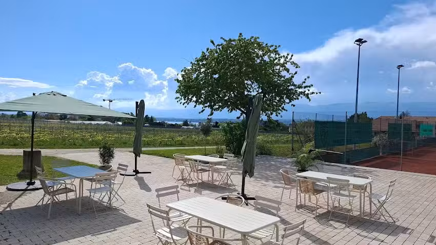 C&ocirc;t&eacute; Vignes