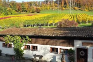 Eigengew&auml;chswirtschaft &laquo;Zelglihof&raquo;