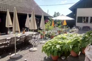 Gastwirtschaft zum Dornhof