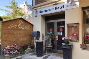 Hotel des Alpes