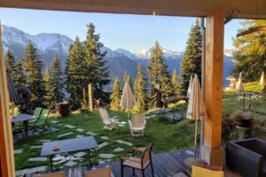 Hotel & Restaurant Waldhaus