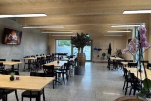 L&rsquo;&eacute;toile d&rsquo;or