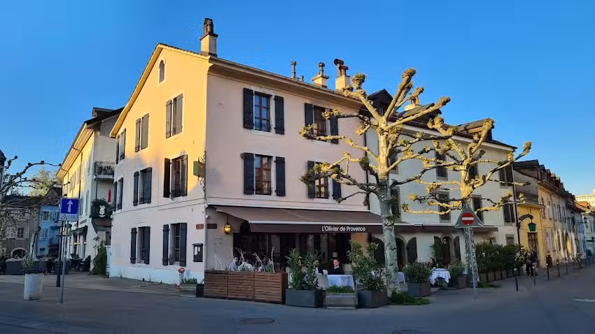 L&rsquo;Olivier de Provence