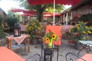 le Renfort de Sezegnin