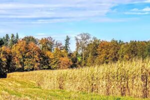 Mattenhof Flawil &ndash; Fehlmann &ndash; Gastronomie