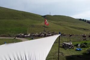 M&eacute;tairie de Morat