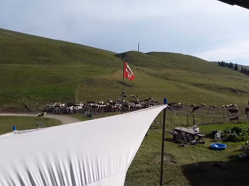 M&eacute;tairie de Morat