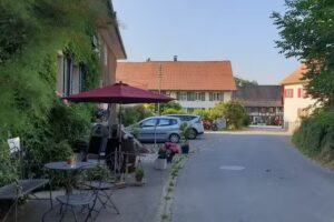 Morgensonne Wilen bei Neunforn