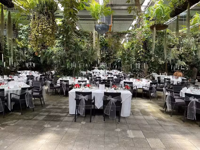 Nostalgija Party GmbH