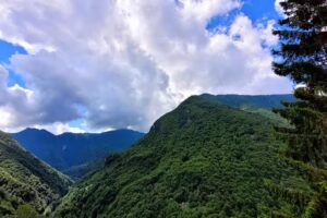 Osteria della Piazza