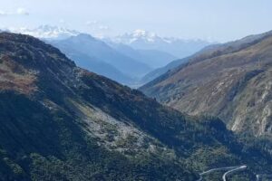 Restaurant bar &agrave; vin Nobilis, Dominique Fornage