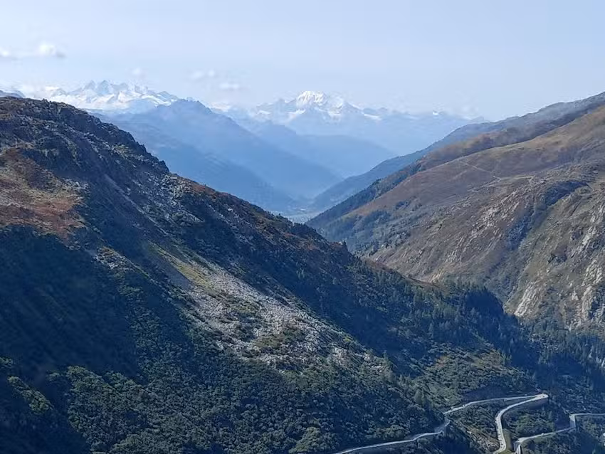 Restaurant bar &agrave; vin Nobilis, Dominique Fornage