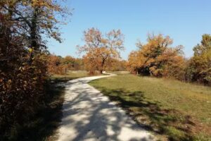 Restaurant Chez W&uuml;rth