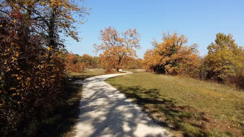 Restaurant Chez W&uuml;rth