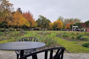 Restaurant Concerto St. Gallen