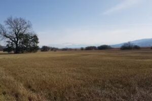 Restaurant Engelgarten