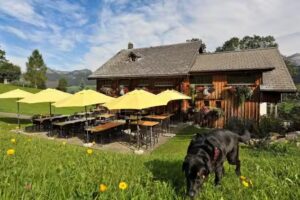 Restaurant Gade mini Beiz