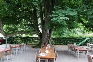 Restaurant Kastanienbaum